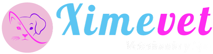 ximevet.pe